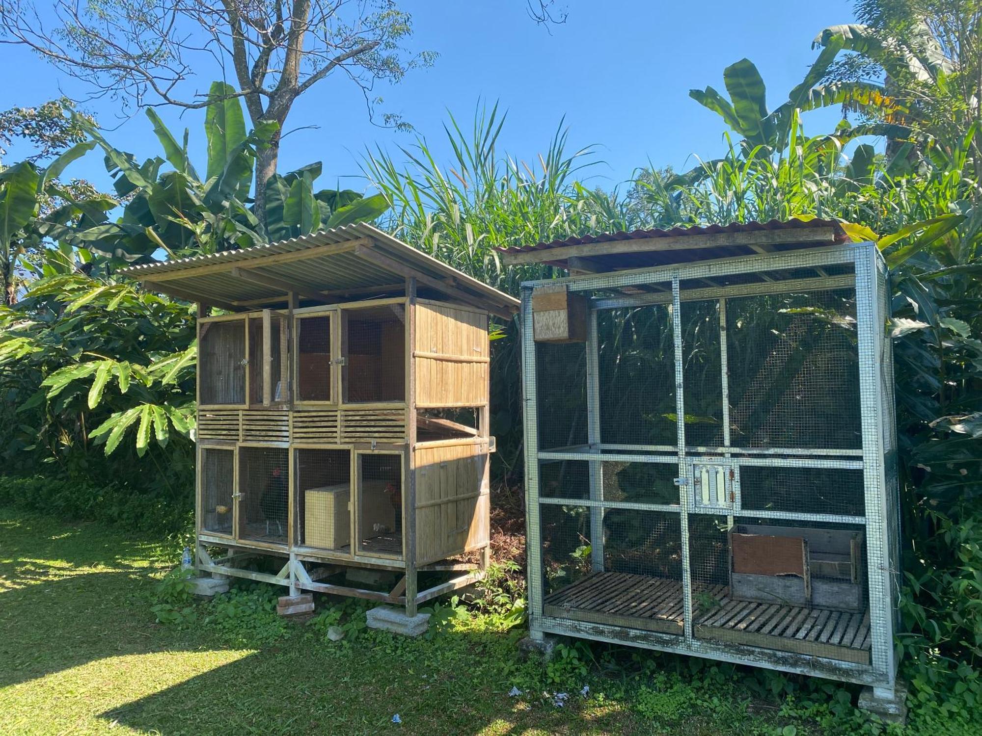 Lembah Cinta Mayungan Baturiti Exterior foto