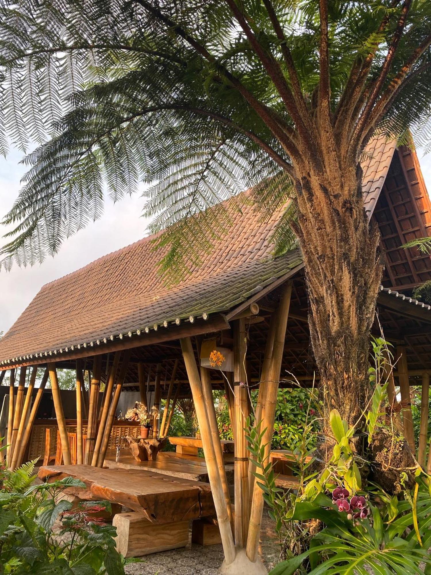 Lembah Cinta Mayungan Baturiti Exterior foto