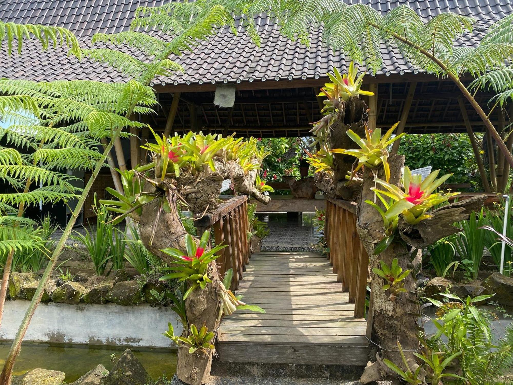Lembah Cinta Mayungan Baturiti Exterior foto