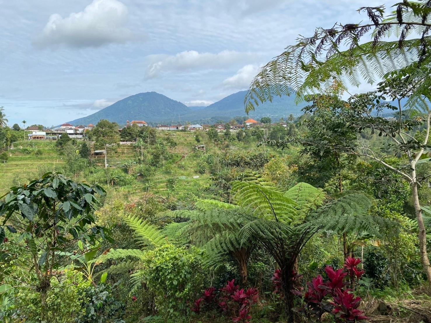 Lembah Cinta Mayungan Baturiti Exterior foto